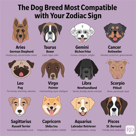 Dog (zodiac) .